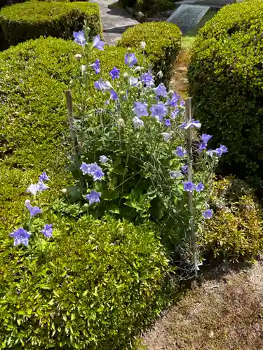 正福寺(滋賀県)