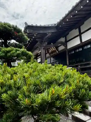 見河山 妙雲寺(京都府)