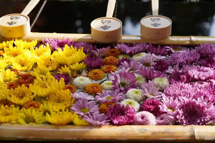 土津神社|こどもと出世の神さまの手水舎