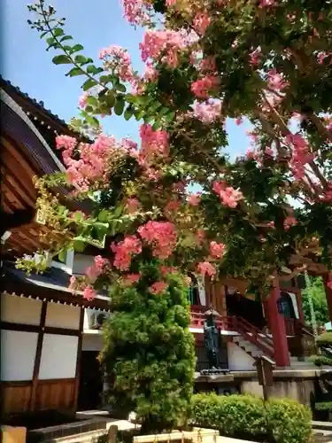 放生寺(東京都)