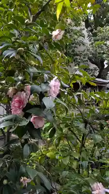 宝蔵寺(京都府)