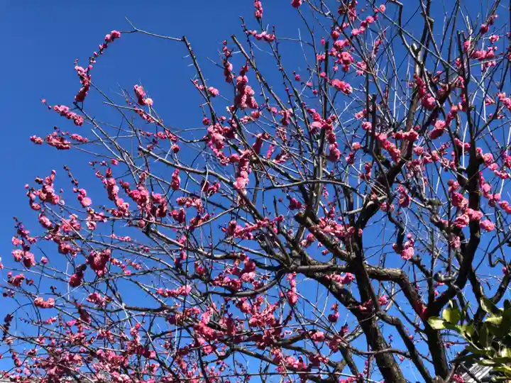 大國魂神社(東京都)