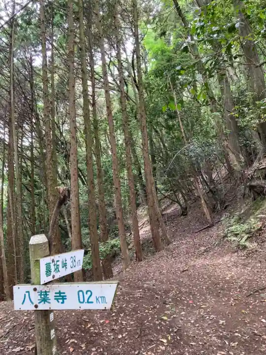 若都王子神社の周辺