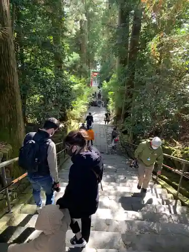 箱根神社の景色