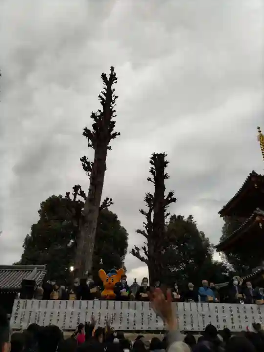 宝仙寺のお祭り