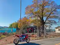 阿保神社(埼玉県)