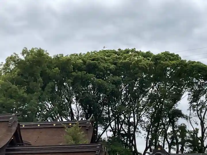 尾張大國霊神社(国府宮)(愛知県)