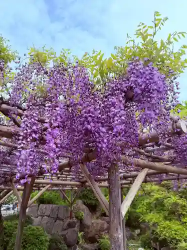 亀戸天神社の{uncategorized: "未分類", other: "その他", undefined: "問題あり", building: "その他建物", grave: "お墓", sacred_gate: "鳥居", guardian: "狛犬", statue: "像", buddha: "仏像", history: "歴史", nature: "自然", garden: "庭園", animal: "動物", pagoda: "塔", temizu: "手水舎", mountain_gate: "山門・神門", sanctuary: "本殿・本堂", subordinate: "末社・摂社", art: "芸術", scenery: "景色", jizo: "地蔵", ema: "絵馬", goshuin: "御朱印", omikuji: "おみくじ", items: "授与品その他", amulet: "お守り", goshuincho: "御朱印帳", eats: "食事", festival: "お祭り", votive_dance: "神楽", shichigosan: "七五三参", wedding: "結婚式", experience: "体験その他", initially: "初詣", around: "周辺", anti_infection: "感染症対策"}