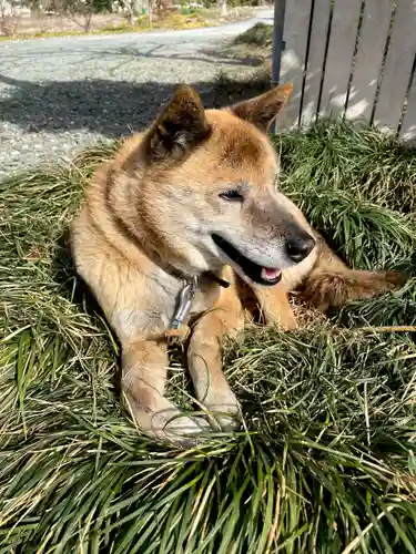 妙昌寺(埼玉県)