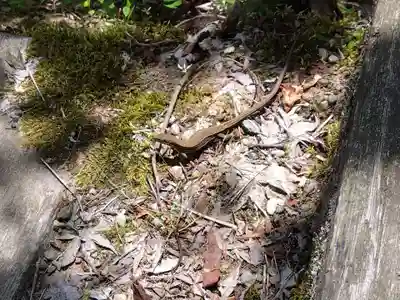 大安禅寺(福井県)