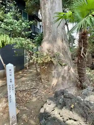 岩山稲荷神社(千葉県)