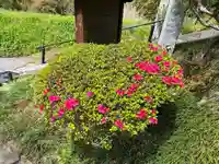 国宝 大法寺の自然