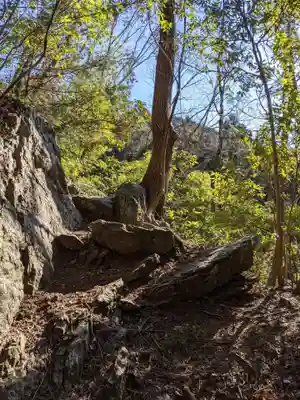 琴平神社の自然