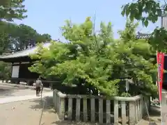 鶴林寺の建物その他