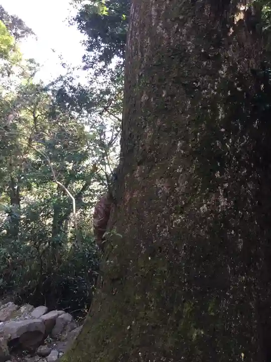 葭原神社(皇大神宮末社)の自然