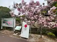 金剛寺(大阪府)
