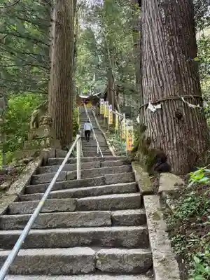 金持神社(鳥取県)