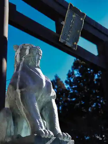 秋葉山本宮 秋葉神社 上社の御朱印