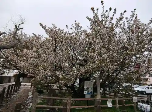 長勝院の{uncategorized: "未分類", other: "その他", undefined: "問題あり", building: "その他建物", grave: "お墓", sacred_gate: "鳥居", guardian: "狛犬", statue: "像", buddha: "仏像", history: "歴史", nature: "自然", garden: "庭園", animal: "動物", pagoda: "塔", temizu: "手水舎", mountain_gate: "山門・神門", sanctuary: "本殿・本堂", subordinate: "末社・摂社", art: "芸術", scenery: "景色", jizo: "地蔵", ema: "絵馬", goshuin: "御朱印", omikuji: "おみくじ", items: "授与品その他", amulet: "お守り", goshuincho: "御朱印帳", eats: "食事", festival: "お祭り", votive_dance: "神楽", shichigosan: "七五三参", wedding: "結婚式", experience: "体験その他", initially: "初詣", around: "周辺", anti_infection: "感染症対策"}