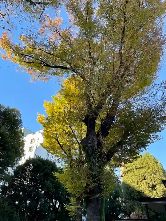 蓮乗寺(東京都)