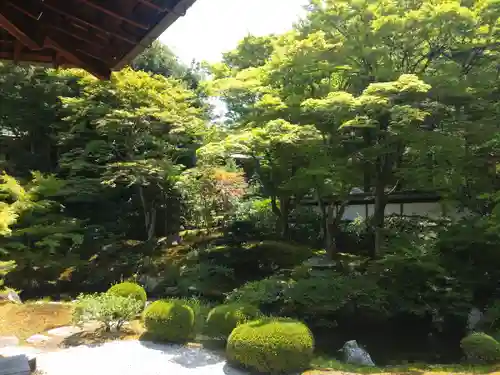 御寺 泉涌寺(京都府)