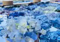 土津神社|こどもと出世の神さまの手水舎