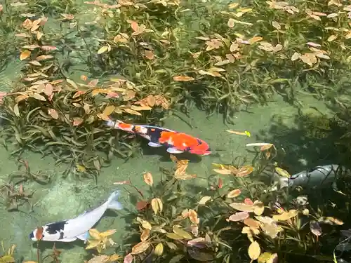 根道神社(岐阜県)