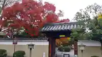 大報恩寺(千本釈迦堂)の山門・神門