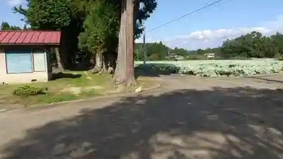 十二所神社の周辺