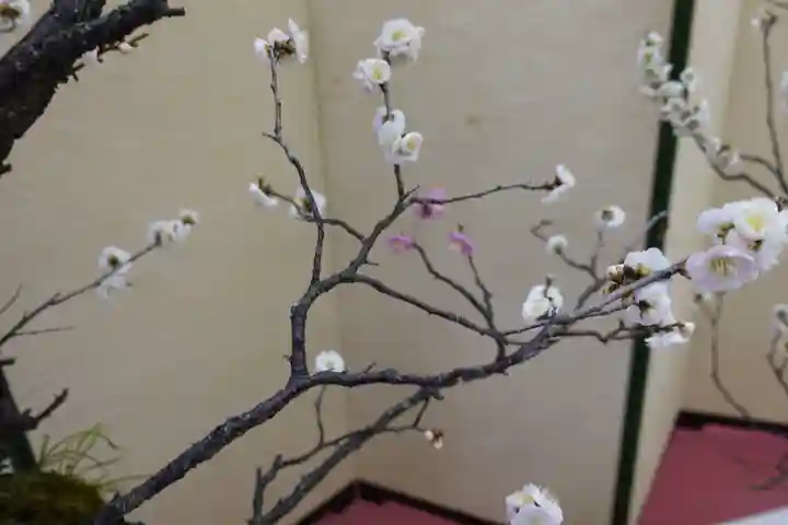 菅原天満宮(菅原神社)の自然