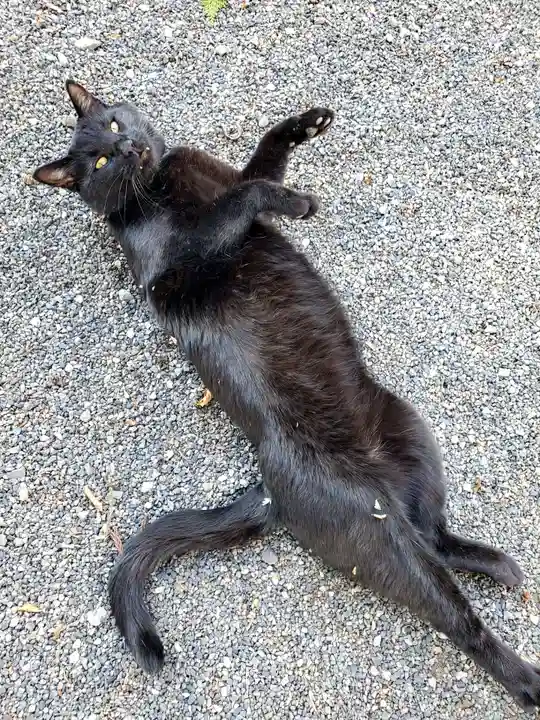 高司神社〜むすびの神の鎮まる社〜(福島県)