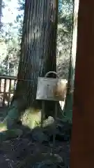 黄金山神社の自然