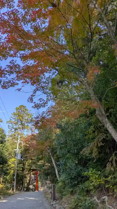 吉田神社(京都府)