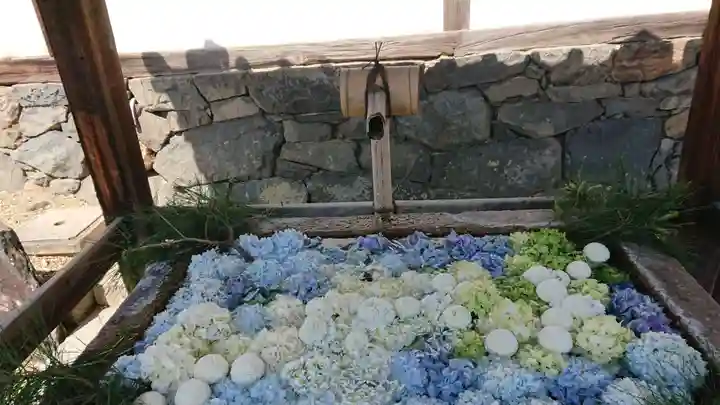 興聖寺(興聖寶林禅寺)の手水舎