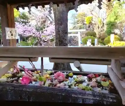 鳩森八幡神社(東京都)