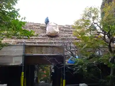 杉本寺(神奈川県)