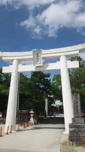 唐津神社の鳥居