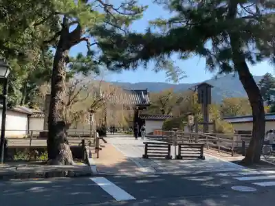 醍醐寺(京都府)