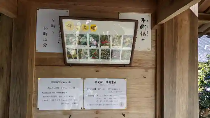 実光院(京都府)