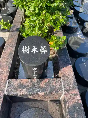 国上寺(新潟県)