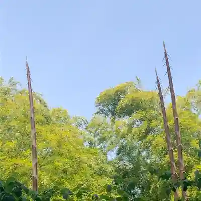 山之神神社の自然