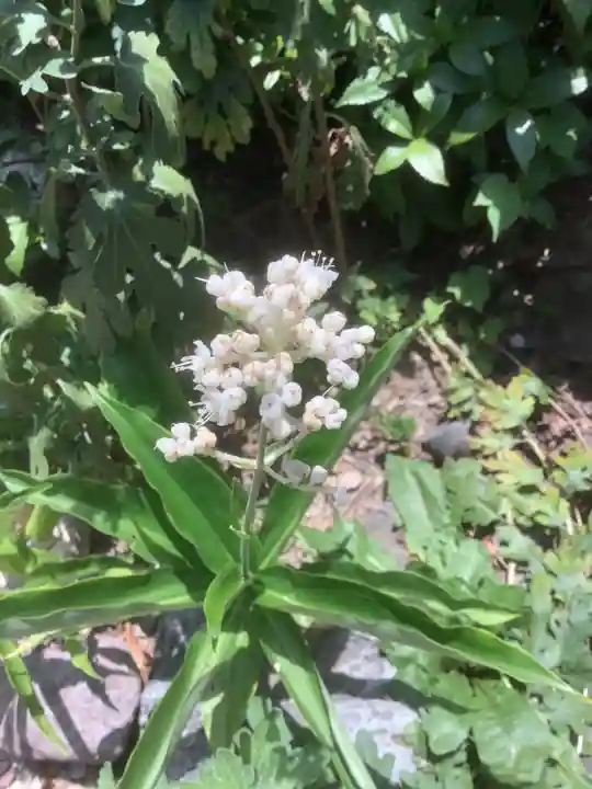 三輪神社の自然