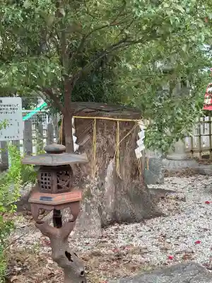 大利神社(大阪府)