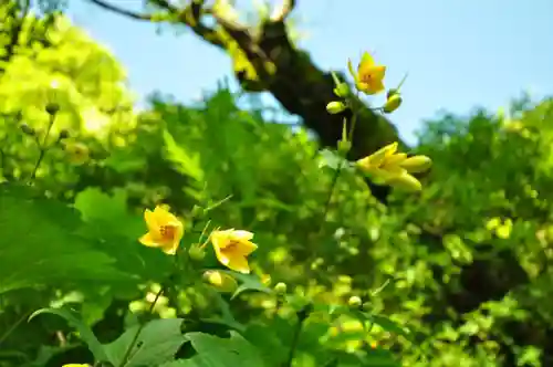 劔神社(徳島県)