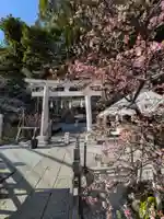 御霊神社(神奈川県)