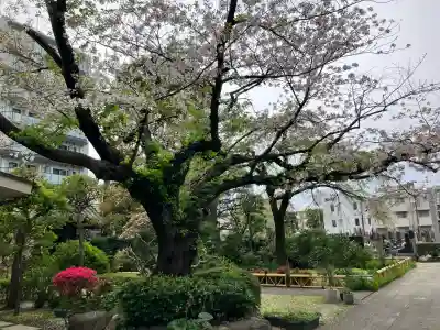 金藏院の{uncategorized: "未分類", other: "その他", undefined: "問題あり", building: "その他建物", grave: "お墓", sacred_gate: "鳥居", guardian: "狛犬", statue: "像", buddha: "仏像", history: "歴史", nature: "自然", garden: "庭園", animal: "動物", pagoda: "塔", temizu: "手水舎", mountain_gate: "山門・神門", sanctuary: "本殿・本堂", subordinate: "末社・摂社", art: "芸術", scenery: "景色", jizo: "地蔵", ema: "絵馬", goshuin: "御朱印", omikuji: "おみくじ", items: "授与品その他", amulet: "お守り", goshuincho: "御朱印帳", eats: "食事", festival: "お祭り", votive_dance: "神楽", shichigosan: "七五三参", wedding: "結婚式", experience: "体験その他", initially: "初詣", around: "周辺", anti_infection: "感染症対策"}