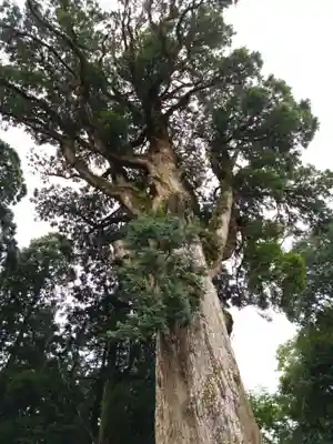 霧島神宮(鹿児島県)
