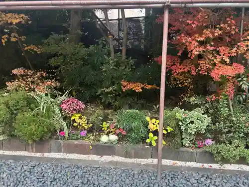 東京大神宮(東京都)