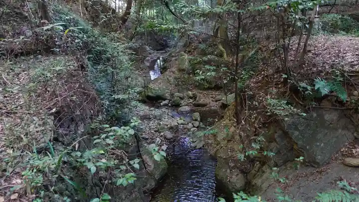 藤井寺(徳島県)