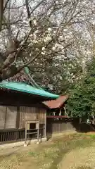 酒門神社の建物その他